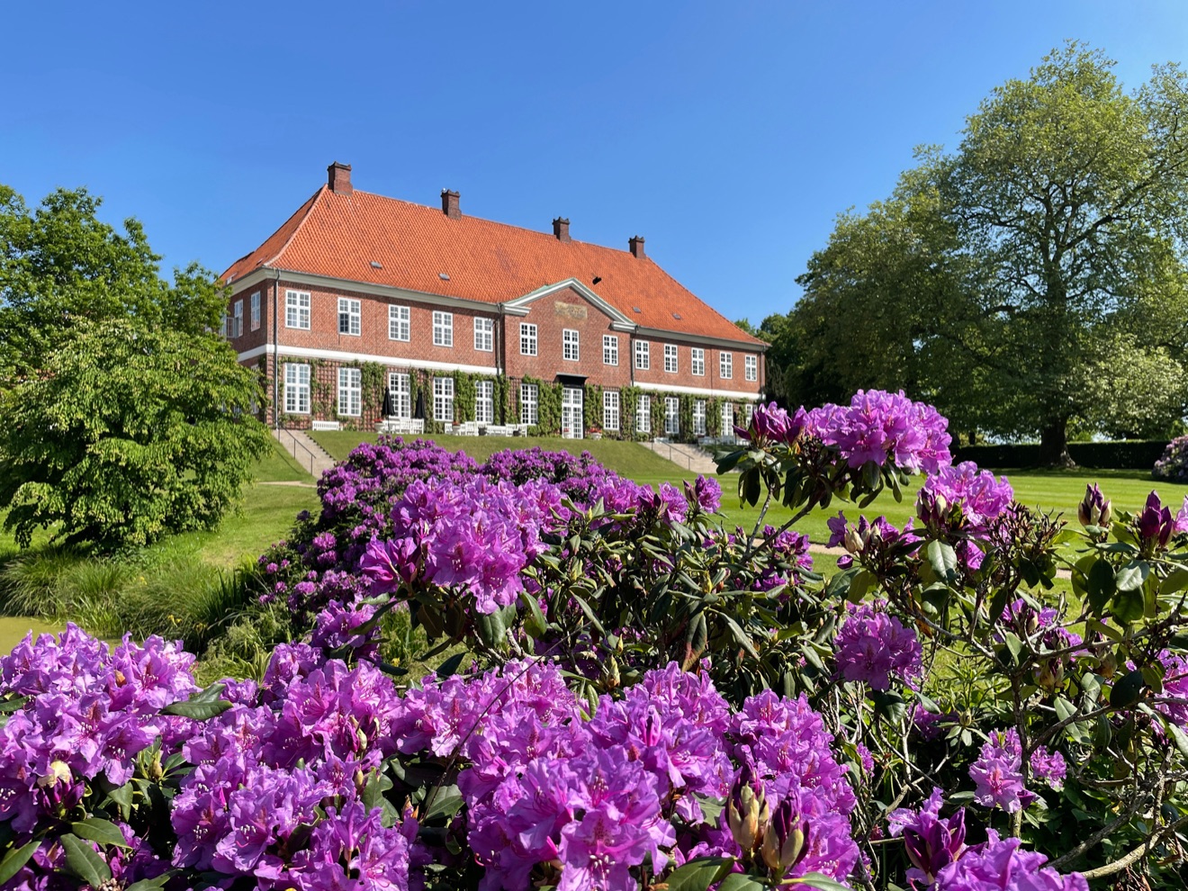 Hindsgavl Slot, foto 5